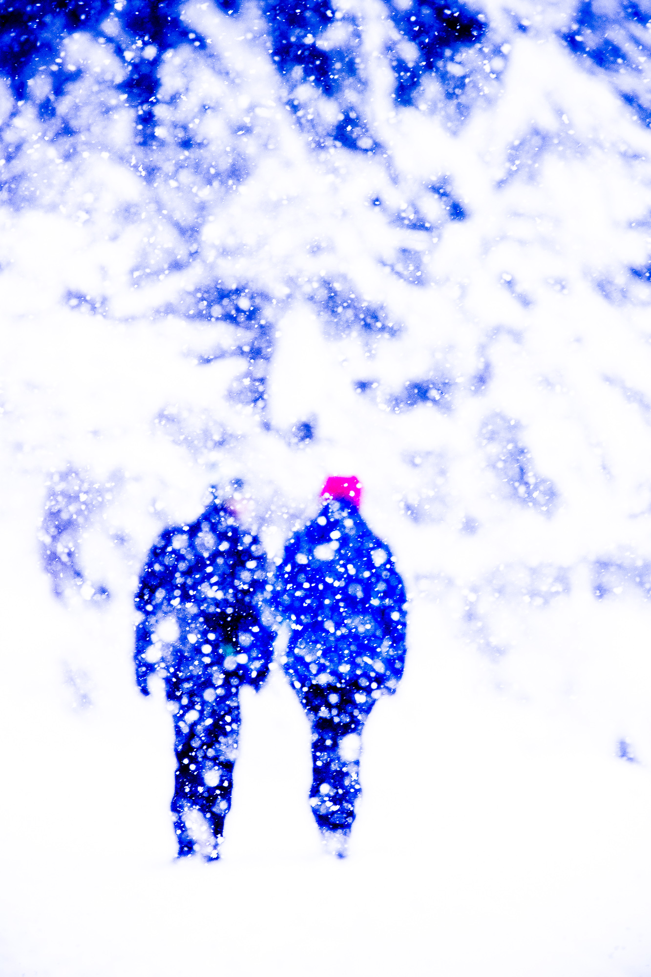 Export x3 1DX29386 Verlobungsfotoshooting 2018 Anna & Dominik 3